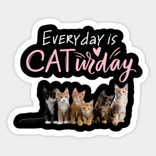 Everyday Is Caturday Quote For Cat Lovers Sticker